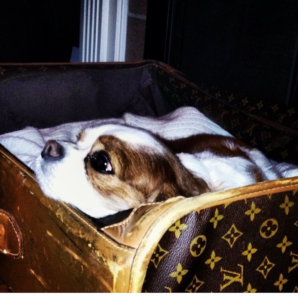 SOLD: Vintage Louis Vuitton Suitcase